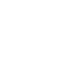 PaperLight icon
