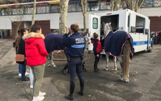 Forum des Métiers du Cheval de Toulouse
